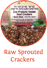 raw-sprouted-crackers